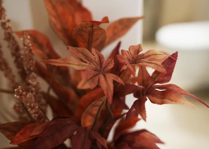 Annunziatella & 4* Matera